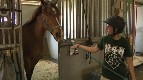 Florida nonprofit uses horses to help those with disabilities gain independence, strength